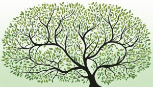 Évolution du webtoon